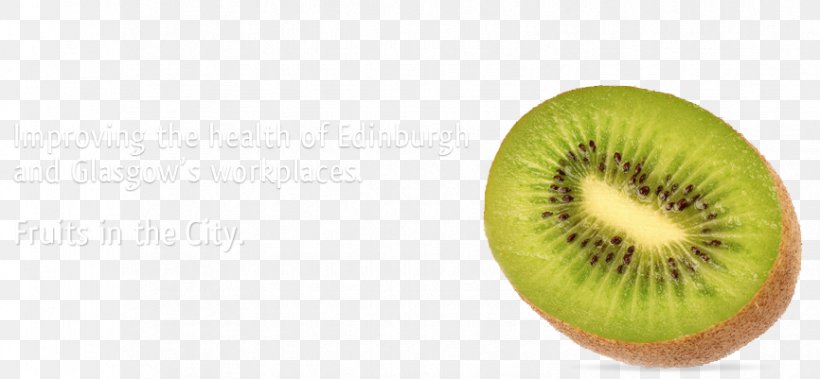 Kiwifruit Actinidia Deliciosa Tropical Fruit Health, PNG, 866x401px, Kiwifruit, Actinidia, Actinidia Deliciosa, Apple, Auglis Download Free