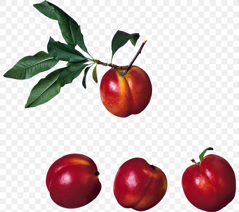 Nectarine Clip Art, PNG, 800x727px, Nectarine, Accessory Fruit, Acerola, Acerola Family, Apple Download Free
