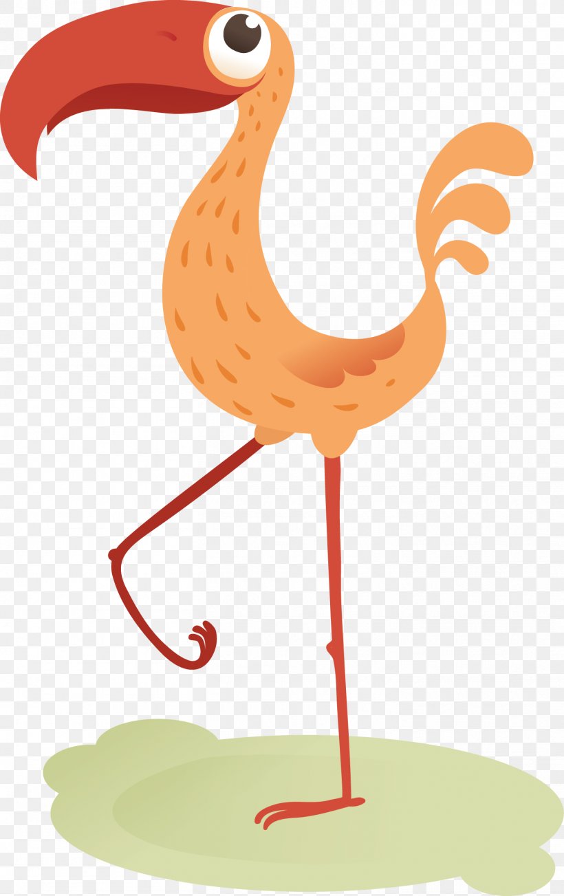 Bird Pelican Flamingo Icon, PNG, 1459x2319px, Bird, Animation, Beak, Chicken, Drawing Download Free