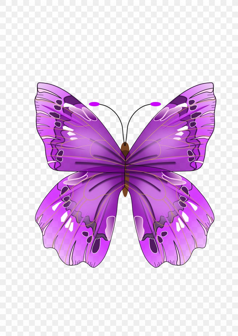 Butterfly Purple Drawing Clip Art, PNG, 1331x1876px, Butterfly, Arthropod, Brush Footed Butterfly, Butterfly Watching, Color Download Free
