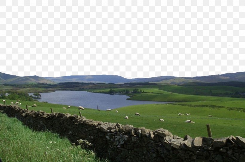 Lake District Windsor Lake, Isle Of Wight Icon, PNG, 1200x797px, Lake District, Deskovxe1 Tektonika, England, Farm, Grass Download Free