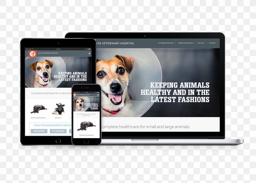 Malta Veterinary Hospital Balcom-Vetillo Design, Inc. Dog Breed, PNG, 1000x718px, Malta, Advertising, Brand, Dekalb County Illinois, Display Advertising Download Free