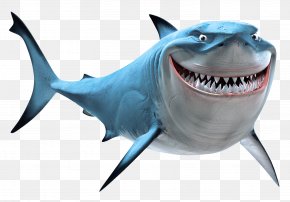 Dory - Marlin Bruce Great White Shark Clip Art PNG