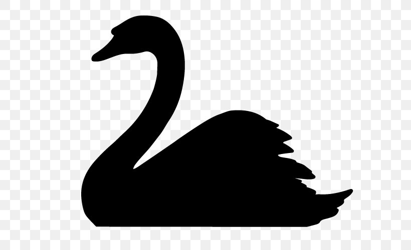 The Black Swan: The Impact Of The Highly Improbable Tundra Swan Trumpeter Swan Whooper Swan, PNG, 725x500px, Black Swan, Animal, Beak, Bird, Black And White Download Free
