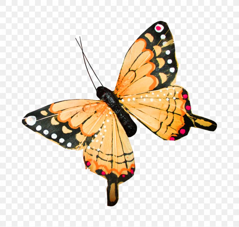 Icon, PNG, 1024x976px, Color, Arthropod, Brush Footed Butterfly, Butterfly, Cartoon Download Free