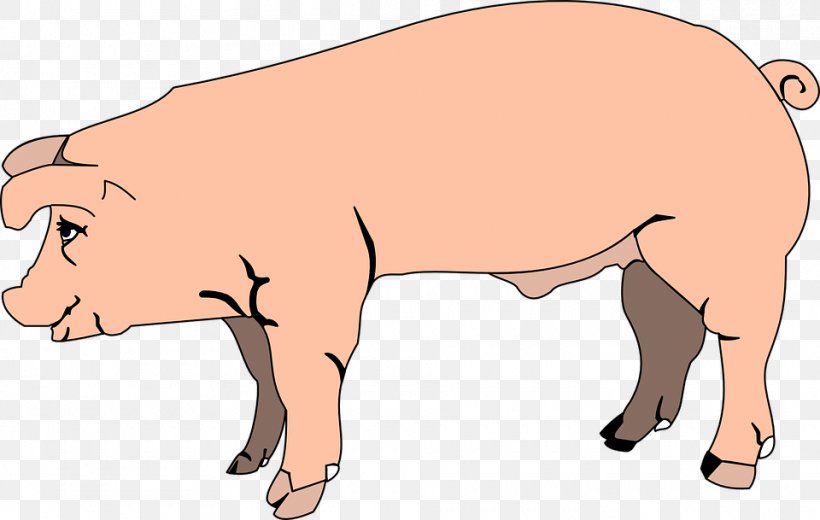 Domestic Pig Clip Art, PNG, 960x609px, Domestic Pig, Blog, Cartoon, Cattle Like Mammal, Fauna Download Free