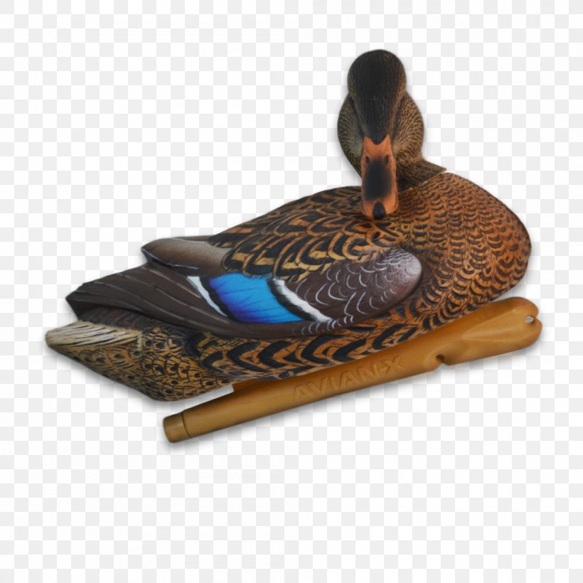 Mallard Duck Decoy Duck Decoy Hunting, PNG, 1000x1000px, Mallard, Anseriformes, Bird, Canada Goose, Dangate Download Free