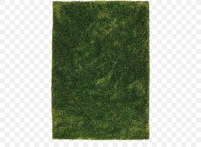 Carpet Pile Color Green Anthracite, PNG, 600x600px, Carpet, Anthracite, Beige, Black, Color Download Free