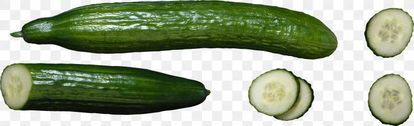 Cucumber, PNG, 2741x839px, Cucumber, Clipping Path, Cucumber Gourd And Melon Family, Cucumber Juice, Cucumis Download Free