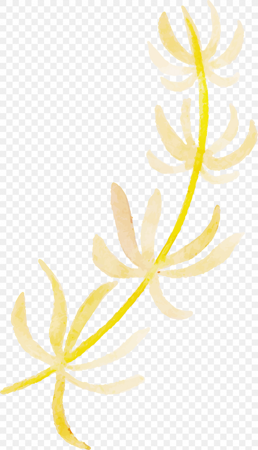 Plant Stem Flower Leaf Petal Yellow, PNG, 1717x2999px, Watercolor Autumn, Biology, Flower, Geometry, Leaf Download Free