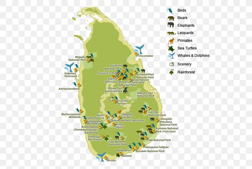 Sinharaja Forest Reserve Yala National Park Map Udawalawe National Park, PNG, 620x550px, Yala National Park, Area, Bandipur National Park, Diagram, Ecoregion Download Free