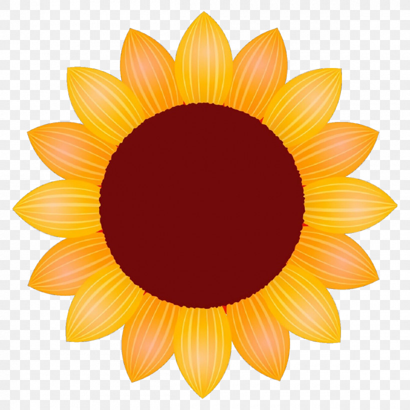 Sunflower, PNG, 1200x1200px, Sunflower, Daisy Family, Flower, Gazania, Gerbera Download Free