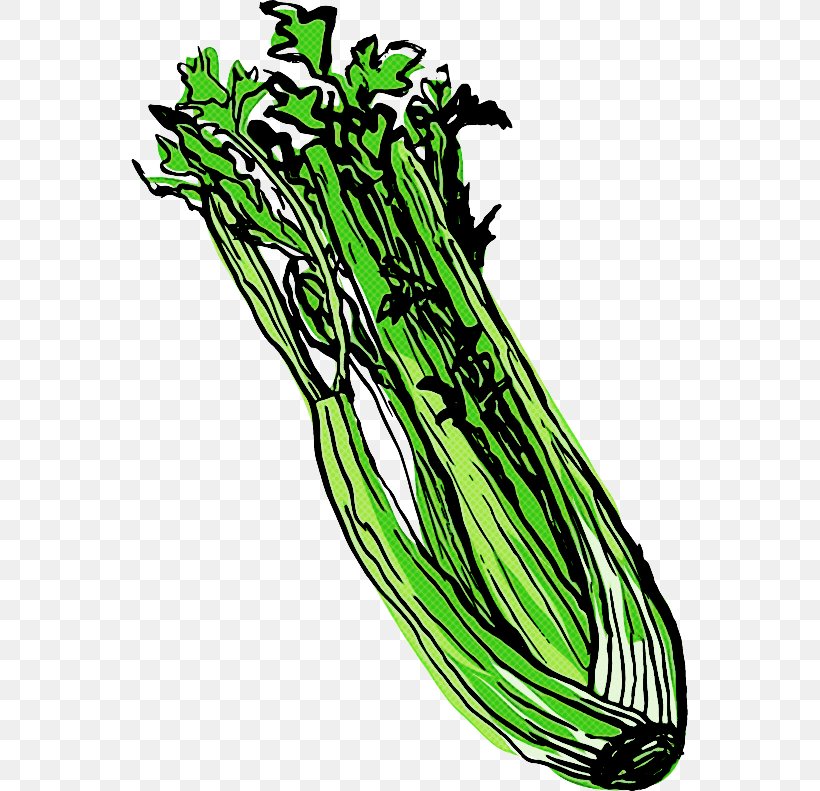 Vegetable Plant Herb Leaf Vegetable Plant Stem, PNG, 557x791px, Vegetable, Herb, Leaf Vegetable, Plant, Plant Stem Download Free