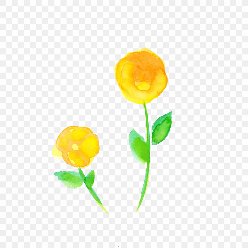 Yellow Flower Plant Petal Tulip, PNG, 2000x2000px, Watercolor Flower, Cut Flowers, Flower, Pedicel, Petal Download Free