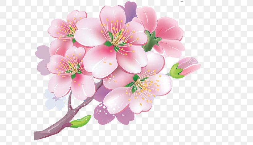 Cherry Blossom Натяжна стеля Clip Art, PNG, 600x469px, Cherry Blossom, Blossom, Branch, Cabinetry, Company Download Free