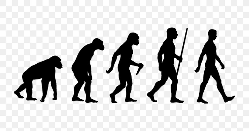Human Evolution Evolutionary Biology Homo Sapiens Darwinism, PNG, 770x430px, Evolution, Biology, Black, Charles Darwin, Communication Download Free