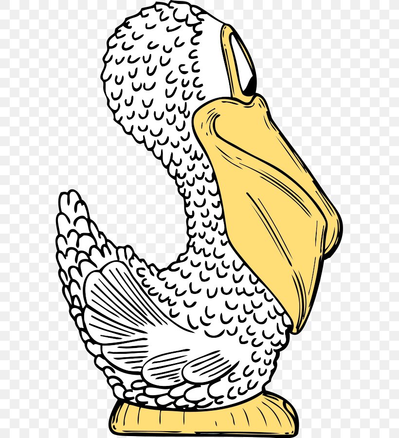 Pelican Euclidean Vector Illustration, PNG, 591x900px, Pelican, Art, Artwork, Beak, Bird Download Free