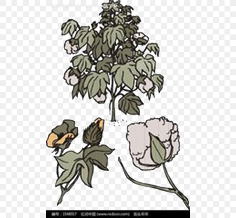 Branch Bombax Ceiba Tree Cotton, PNG, 500x759px, Branch, Artwork, Bombax Ceiba, Cotton, Fictional Character Download Free