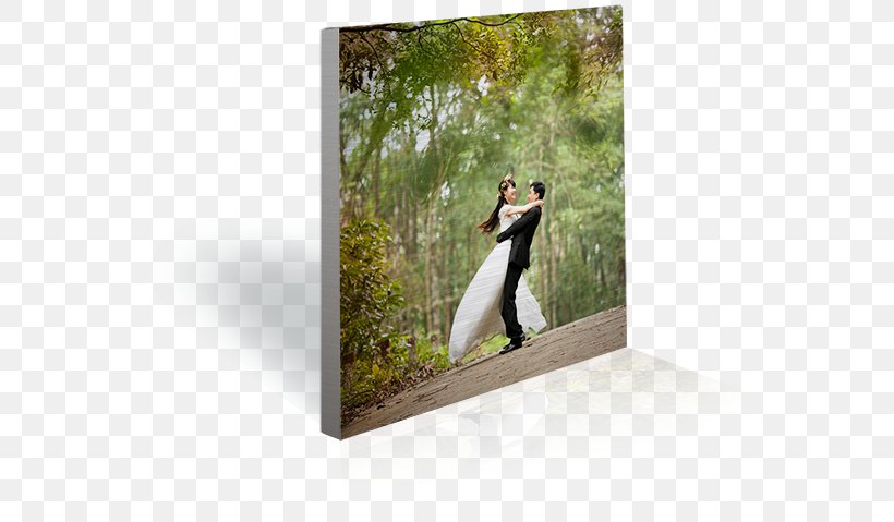 Brushed Metal Aluminium Paper Marriage, PNG, 600x479px, Brushed Metal, Aluminium, Commonlaw Marriage, Couple, Gallery Wrap Download Free