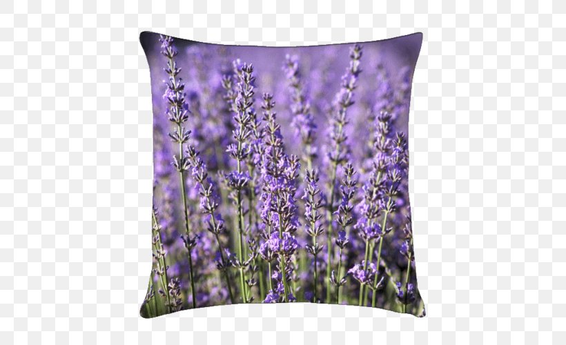 English Lavender Throw Pillows Cushion Garden, PNG, 500x500px, English Lavender, Bath Salts, Cushion, Embryophyta, Flower Download Free