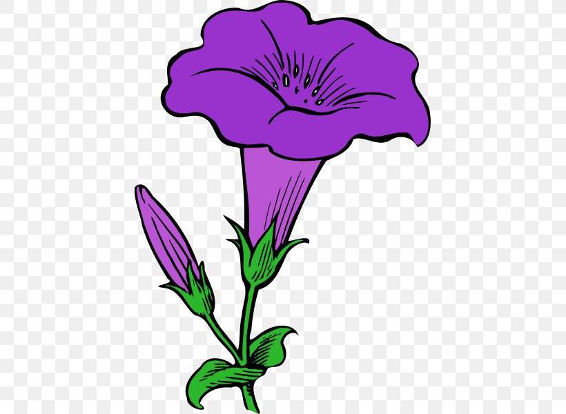 Morning Glory Drawing Clip Art, PNG, 429x600px, Morning Glory, Art, Artwork, Cut Flowers, Document Download Free