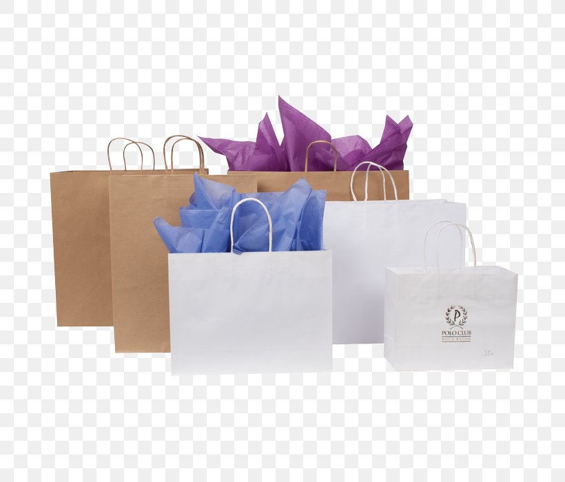 Shopping Bags & Trolleys Box Paper, PNG, 700x700px, Shopping Bags Trolleys, Array Data Structure, Bag, Box, Gift Download Free