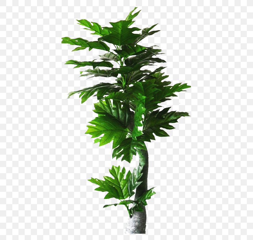 Tree Simulation, PNG, 473x776px, Tree, Bonsai, Evergreen, Flowerpot, Houseplant Download Free