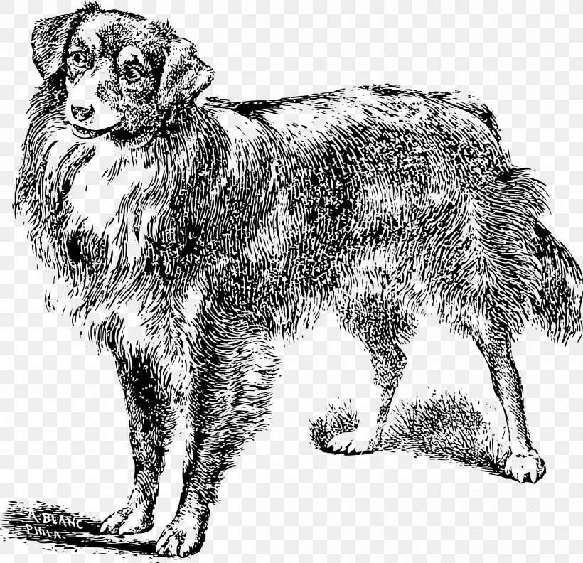 Dog Breed Dobermann Puppy Pekingese Rough Collie, PNG, 2400x2320px, Dog Breed, Black And White, Canidae, Carnivoran, Cat Download Free