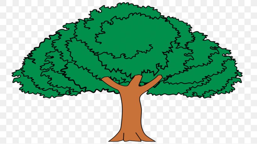 Tree Enterolobium Cyclocarpum Tropical And Subtropical Dry Broadleaf Forests Drawing, PNG, 748x461px, Tree, Alfabeto Bilingue, Animation, Child, Description Download Free