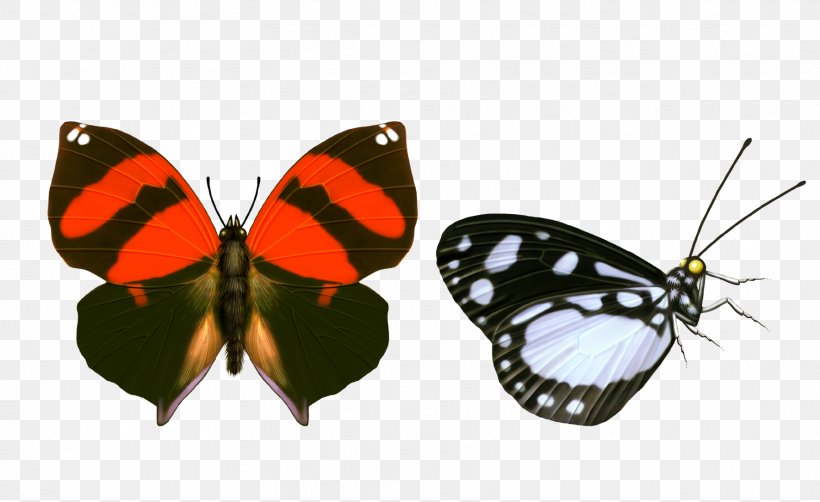 Butterfly, PNG, 1772x1086px, Butterfly, Animation, Arthropod, Brush Footed Butterfly, Designer Download Free