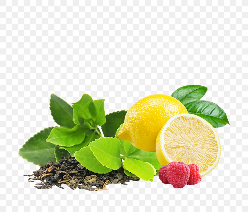 Green Tea Infuser Infusion Drink, PNG, 700x700px, Tea, Black Tea, Camellia Sinensis, Citric Acid, Citrus Download Free
