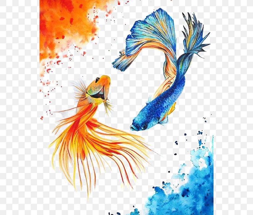Koi Carassius Auratus Yin Yang Fish Watercolor Painting, PNG, 564x696px, Koi, Art, Beak, Bird, Carassius Auratus Download Free