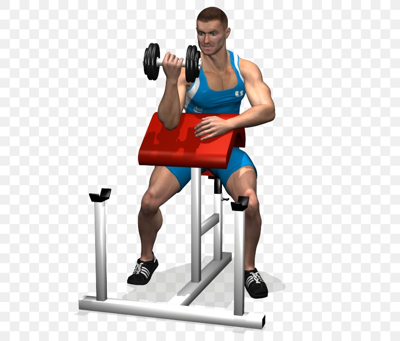 Panca Scott Dumbbell Biceps Curl Bench, PNG, 700x700px, Watercolor, Cartoon, Flower, Frame, Heart Download Free