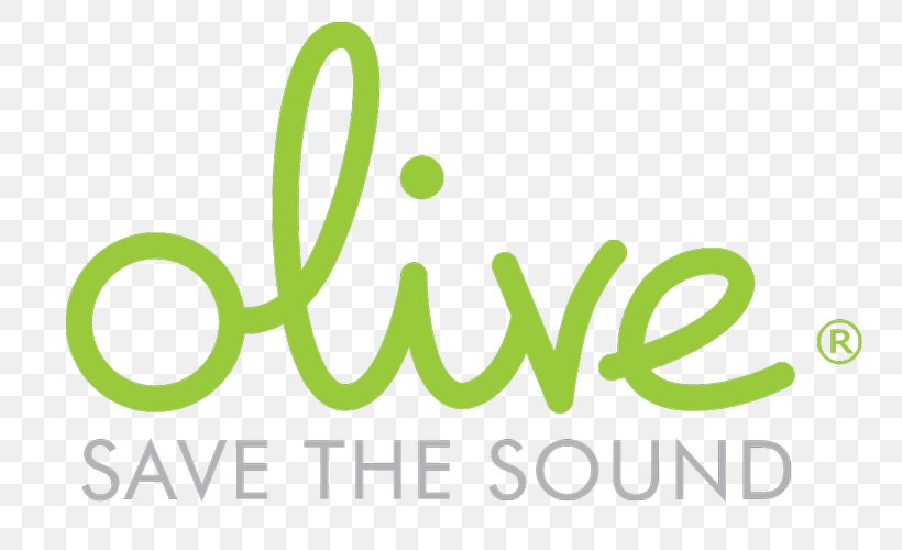 Brand Sound Logo Olive Loudspeaker Enclosure, PNG, 800x500px, Brand, Area, Bowers Wilkins, Clearaudio Electronic, Green Download Free