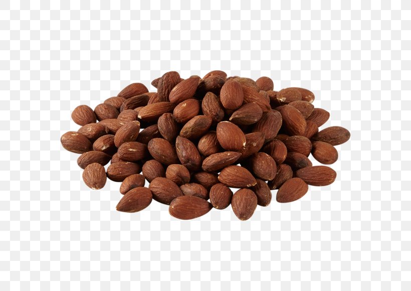Fruit Tree, PNG, 580x580px, Chocolatecoated Peanut, Almond, Bean, Cacao Tree, Cocoa Bean Download Free