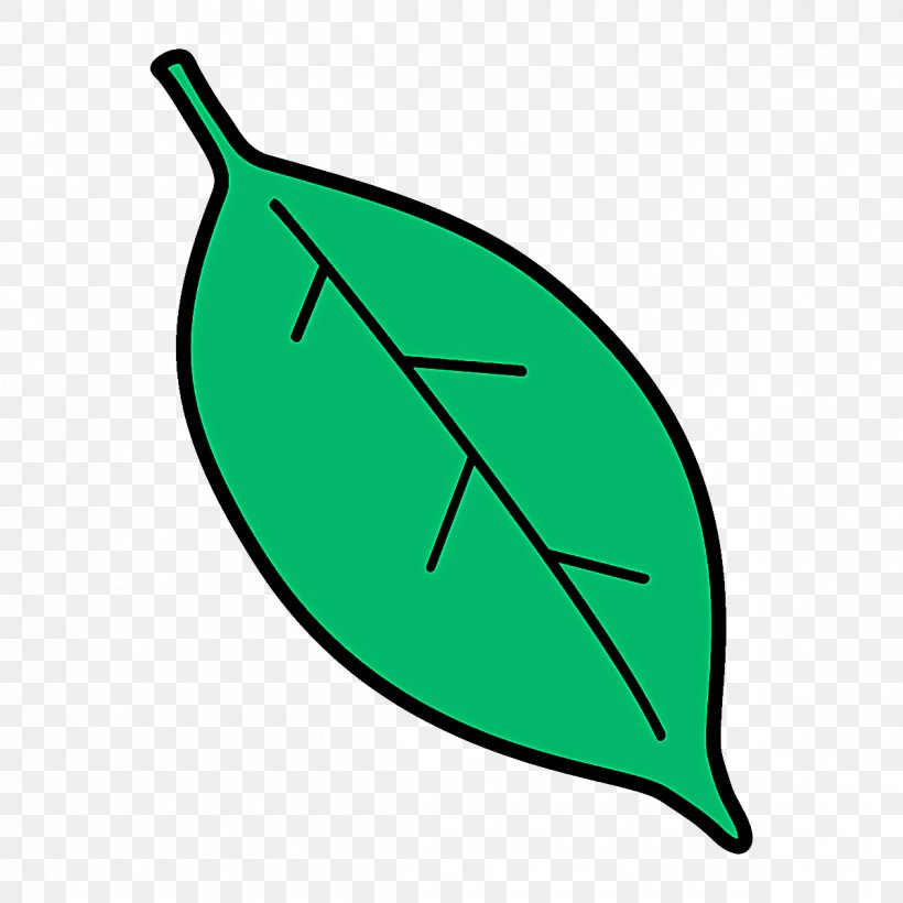 Leaf Green Line Plant, PNG, 1200x1200px, Leaf, Green, Plant Download Free