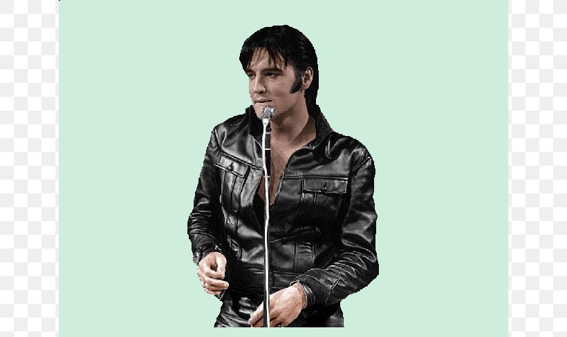 Leather Jacket T-shirt Microphone Outerwear Sleeve, PNG, 650x488px, Leather Jacket, Audio, Audio Equipment, Jacket, Leather Download Free