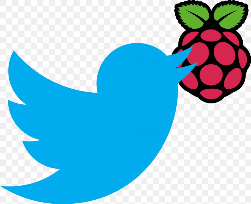 Raspberry Pi Foundation Computer Software Kodi, PNG, 2000x1624px, Raspberry Pi, Adafruit Industries, Arduino, Area, Artwork Download Free