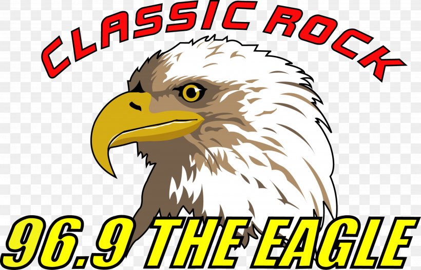 Bald Eagle KKGL Boise City-Nampa, ID Metropolitan Statistical Area Radio Station KSEG, PNG, 3563x2292px, Bald Eagle, Beak, Bird, Bird Of Prey, Brand Download Free