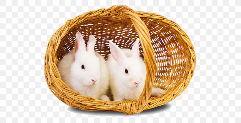 Hare Easter Bunny Rodent Domestic Rabbit, PNG, 541x419px, Hare, Basket, Display Resolution, Domestic Rabbit, Easter Bunny Download Free