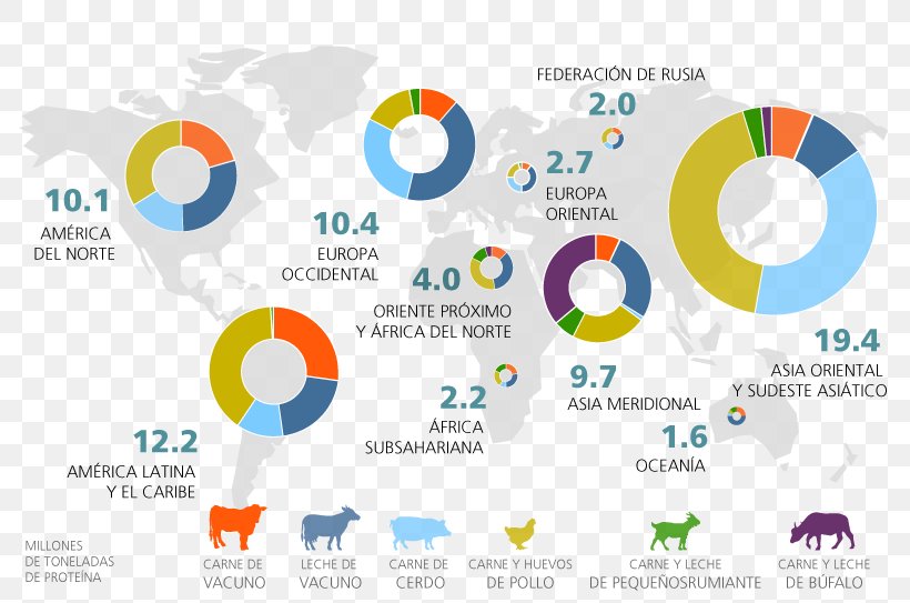 Production Domestic Pig Cattle Food Consumption, PNG, 800x543px, Production, Animal Husbandry, Brand, Business, Cattle Download Free