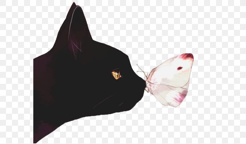 Black Cat Kitten Butterfly Illustration, PNG, 600x481px, Cat, Animal, Art, Biological Illustration, Black Download Free