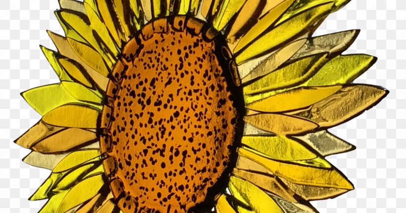 Common Sunflower Fused Glass Glass Fusing Glass Art, PNG, 1200x630px, Common Sunflower, Art, Artist, Daisy Family, Delphi Glass Download Free