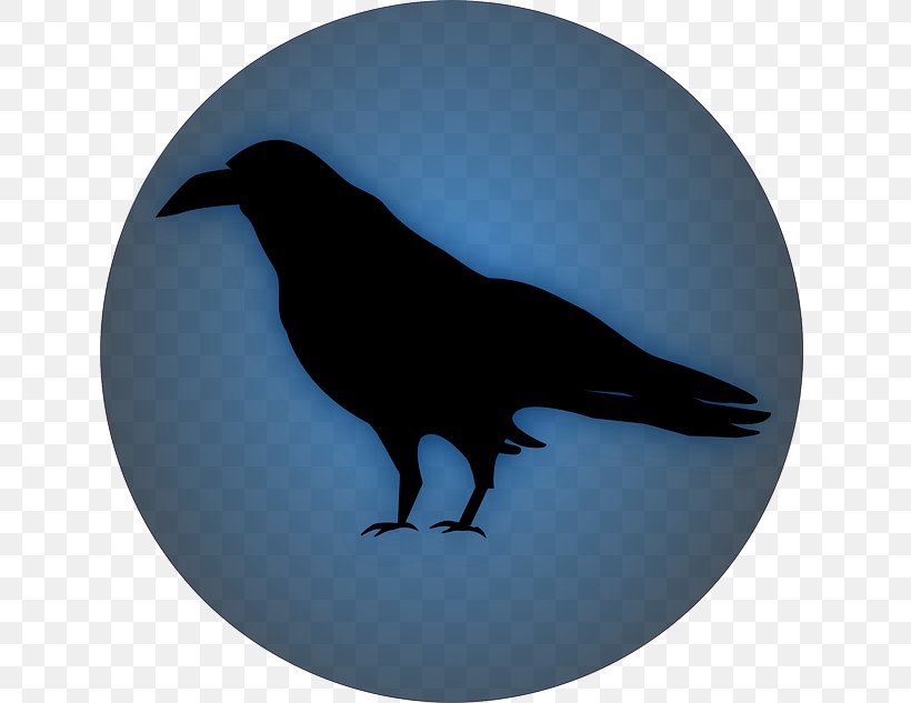 Common Raven Clip Art, PNG, 640x633px, Common Raven, American Crow, Beak, Bird, Crow Download Free