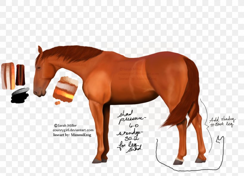 Desktop Wallpaper Pony Mustang Stallion Cash Advance, PNG, 1280x921px, Pony, Bridle, Cash Advance, Colt, Horse Download Free