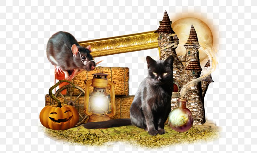 Halloween Kitten Cucurbita Cat, PNG, 600x487px, Halloween, Carnivoran, Cat, Cat Like Mammal, Centrepiece Download Free