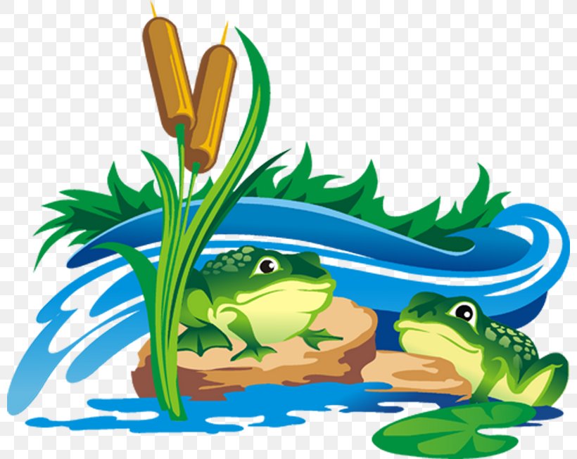 Prince Cartoon, PNG, 800x653px, Frog, Amphibians, Animal, Animal Figure, Aquarium Decor Download Free