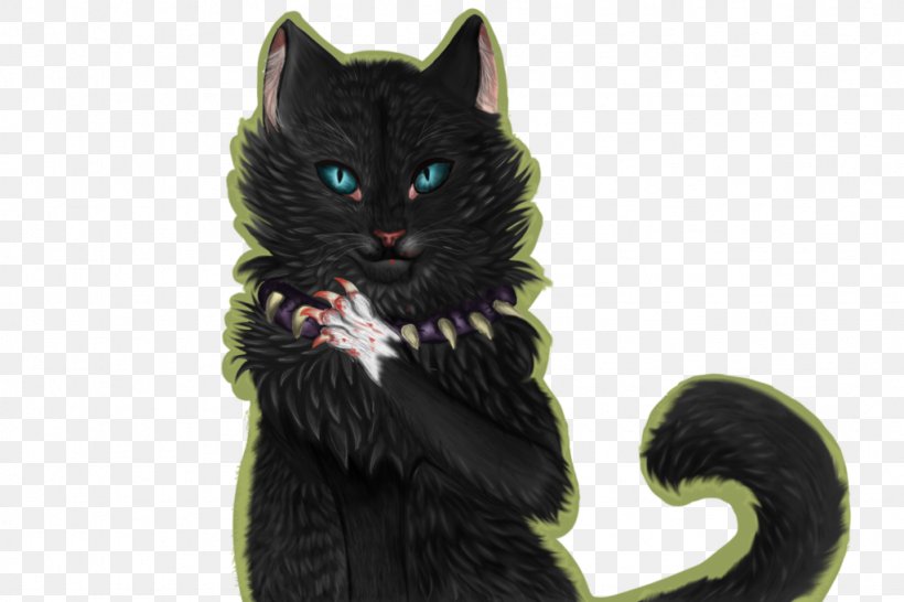 Black Cat Kitten Domestic Short-haired Cat Whiskers, PNG, 1024x683px, Black Cat, Carnivoran, Cat, Cat Like Mammal, Domestic Short Haired Cat Download Free