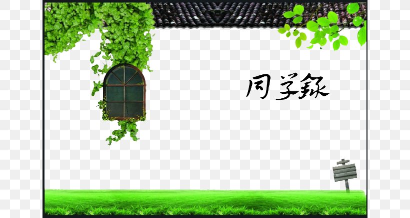 Classmates,Senior Year,window,Green Leaves, PNG, 650x437px, Planning, Advertising, Biome, Brand, Business Plan Download Free