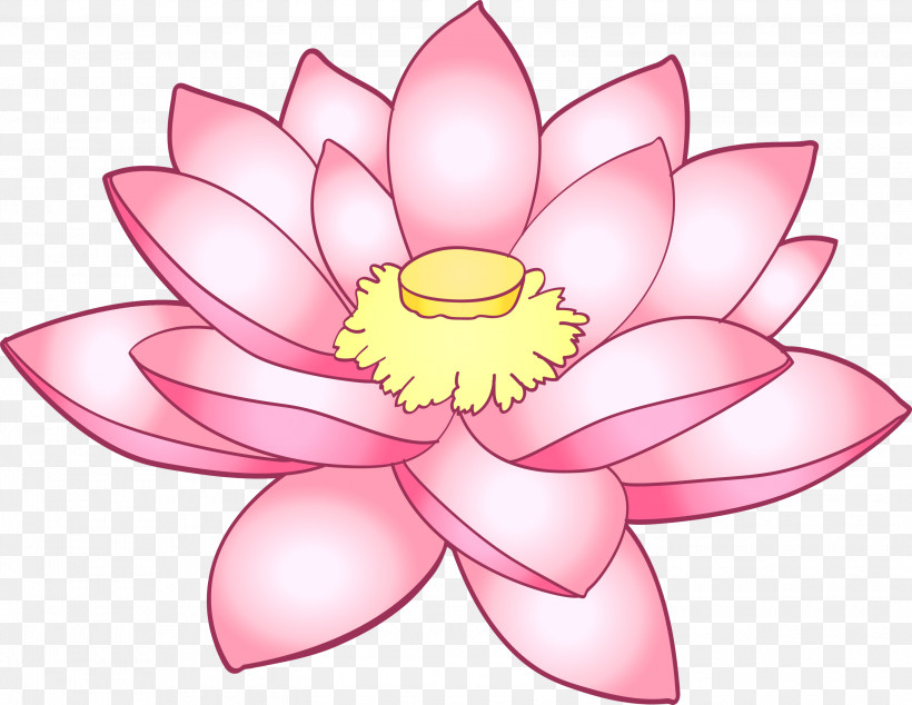 Lotus Flower, PNG, 3000x2320px, Lotus, Aquatic Plant, Flower, Lotus Family, Petal Download Free